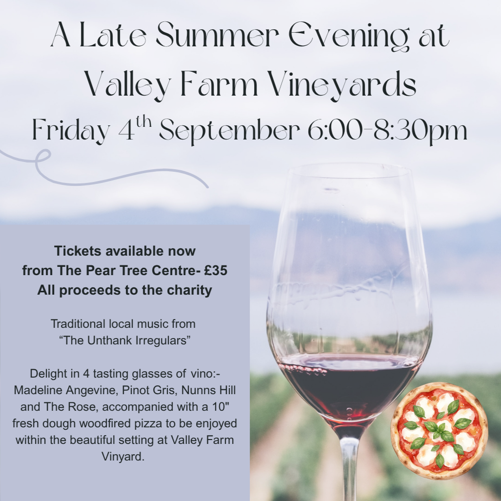 Vineyard Valley square